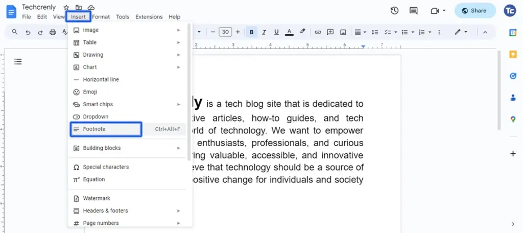 Google Docs Footnotes